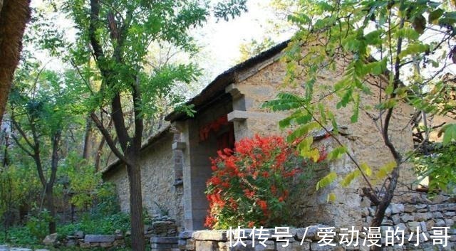 树龄|被《红高粱》带火的古村，已有564年历史，被誉为中国最美古村！