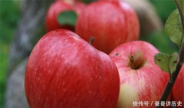 晚餐|晚上吃苹果，清除体内垃圾，脂肪不见了，皮肤更细腻，后悔晚知道