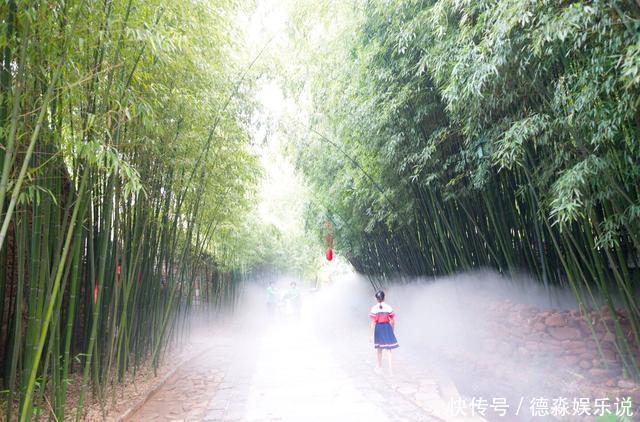 沂南|山东最美古村落，村民住在竹林里，北方罕见的“江南式美丽乡村”