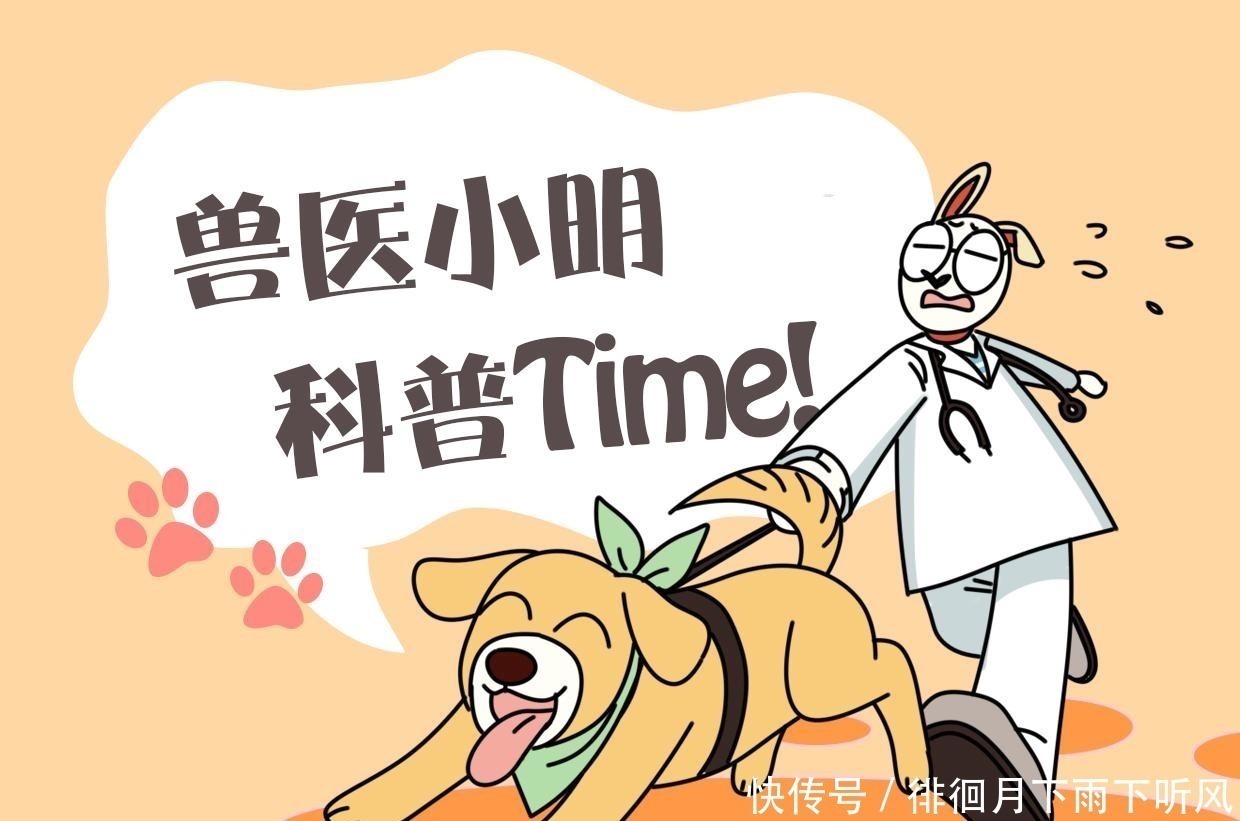 男孩|2岁男孩每早醒来都在狗窝里,父母心生困惑,查看监控后语塞了