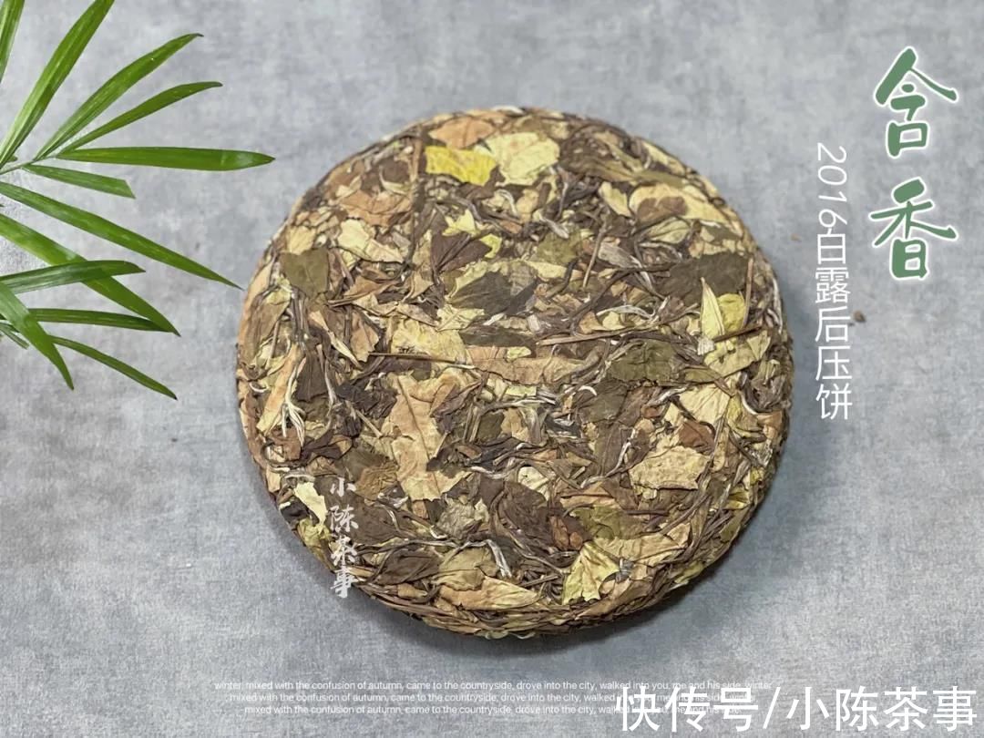 茶包袋|碎白茶应该怎么喝？教你3招变废为宝，喝得开心，关键能省一笔钱