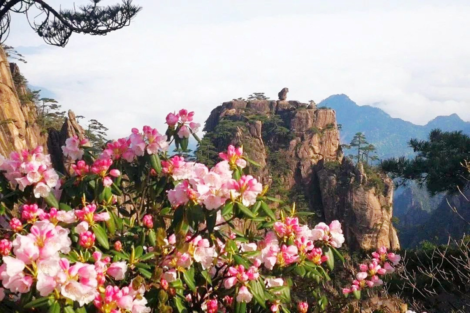 三月份黄山风景好看吗？这四点理由告诉你为什么三月要去黄山