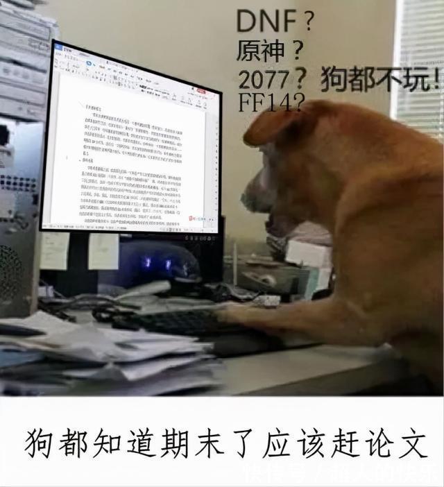 |拍迪士尼烟花翻车现场  冷段子2008