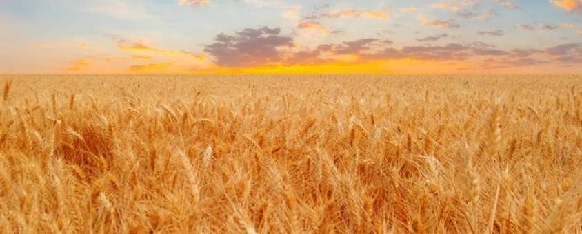 冠领律师事务所|合同租赁律师咨询,哪些细节有效 防止租赁出纠纷