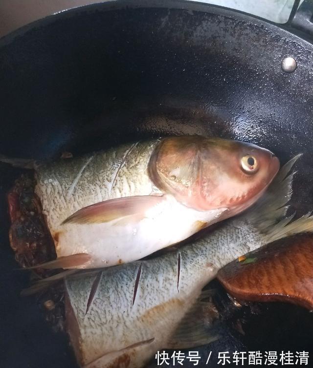 鲢鱼|家常酱炖鲢鱼,酱香四溢鲜美下饭,快来和小编一起学着做一回吧