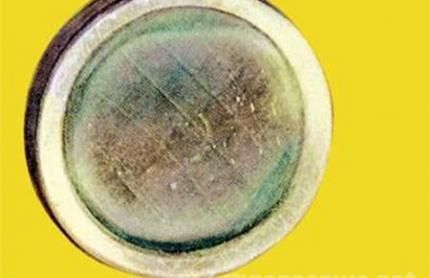  有个|居里夫人有个笔记本，是一件历史文物，但它要放在铅盒里保存