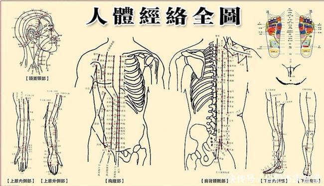 疏通|为什么要做腿部经络疏通,这些好处你要知道!