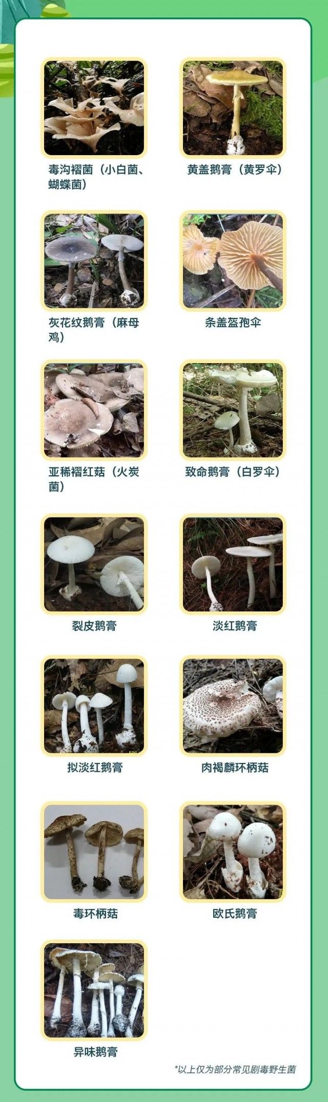 条盖|剧毒！已有人中招！成都疾控紧急提醒