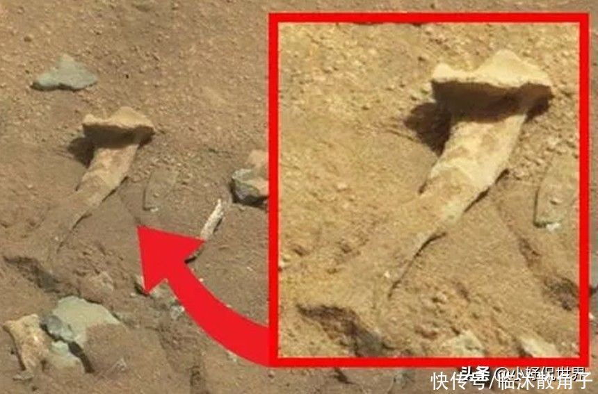 来自火星上的6个引发“火星文明阴谋论”的发现