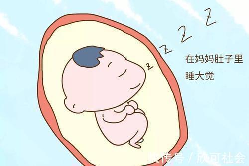 孕妈|孕期怀孕已经五个月了,宝宝在肚子里基本没怎么闹腾咋回事