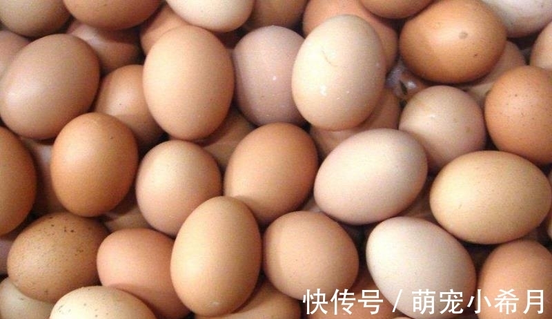 全麦饼干|钟南山建议少吃6种,多吃这6种食物,广东人爱吃的都上“黑”榜!