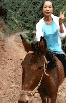 |搞笑GIF:伴娘你可真是有心计啊,这样藏鞋子谁能找得到啊