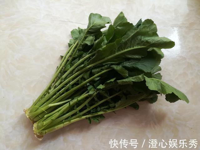 叶子|这菜被称为“小人参”,叶子营养极高,常被当垃圾扔掉,真可惜