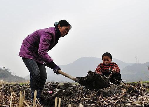 妈妈|真正聪明的妈妈,会把以下3类话经常挂在嘴边,难怪孩子有出息