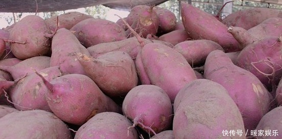 紅薯和它一起煮,不貧血了,體內濕氣也沒了,子宮也越來越健康