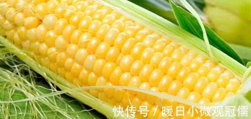 饵料|野钓,饵料如何选择?