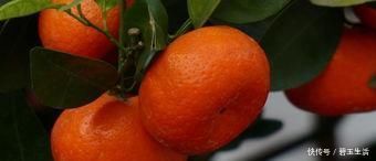 胆固醇|高血压别总是吃药,多吃这几样食物,净化血管,血压更稳定