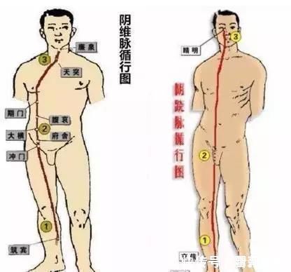 男科|睡前一个小功法,大补肝肾,疏通五条经,男女都受益~