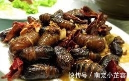 继小龙虾后，又一个“夜宵霸主”又出现了，吃货：长得丑但却好吃