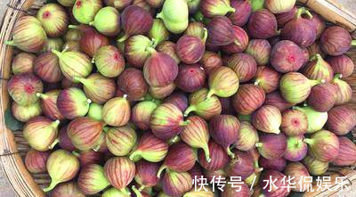 畸形果|挑选无花果时,要牢记“4挑3不挑”,很多人不懂,难怪又酸又涩