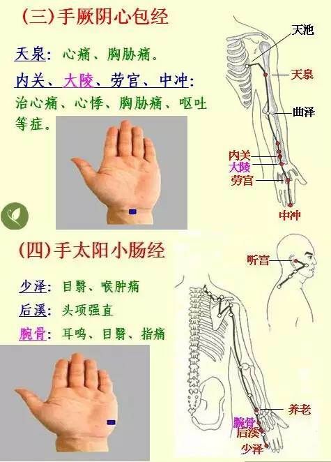 按摩|经络养生，给你意想不到的效果！
