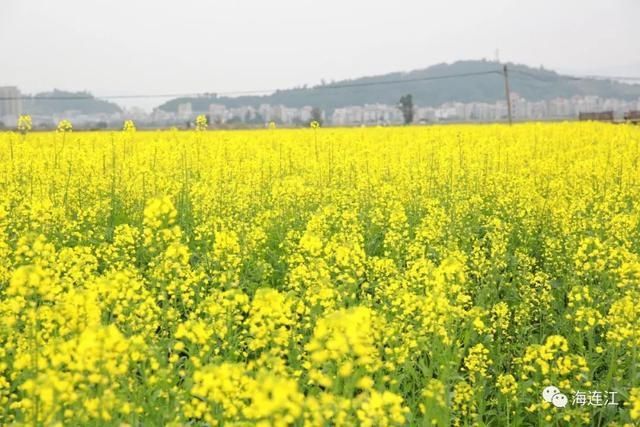 来连江，看这片“海”！「区县头条」