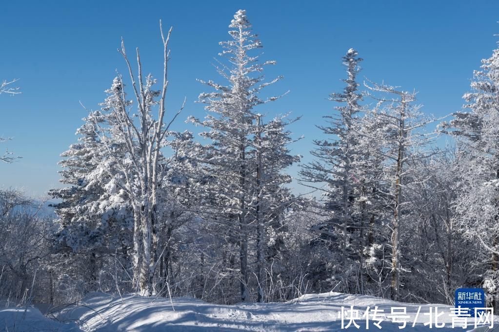 谢剑飞|新华全媒+丨冬奥临近 冰雪运动氛围浓——探访黑龙江省亚布力滑雪旅游度假区