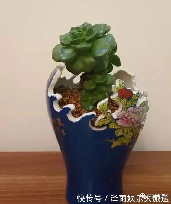 过年家里有“酒瓶”,教你10分钟做“花盆”,比买的还“好看”