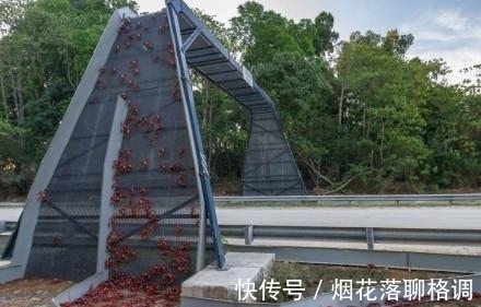 技能|给小费的技巧，新技能get