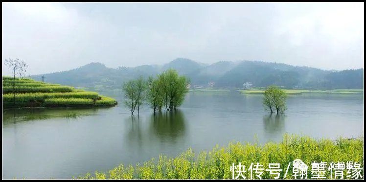 公仪#《道德经》:不逾越规矩,不欺瞒因果,方是人生智慧