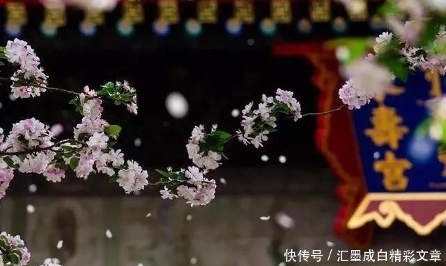 痛苦|谁让你痛苦,谁就来渡你