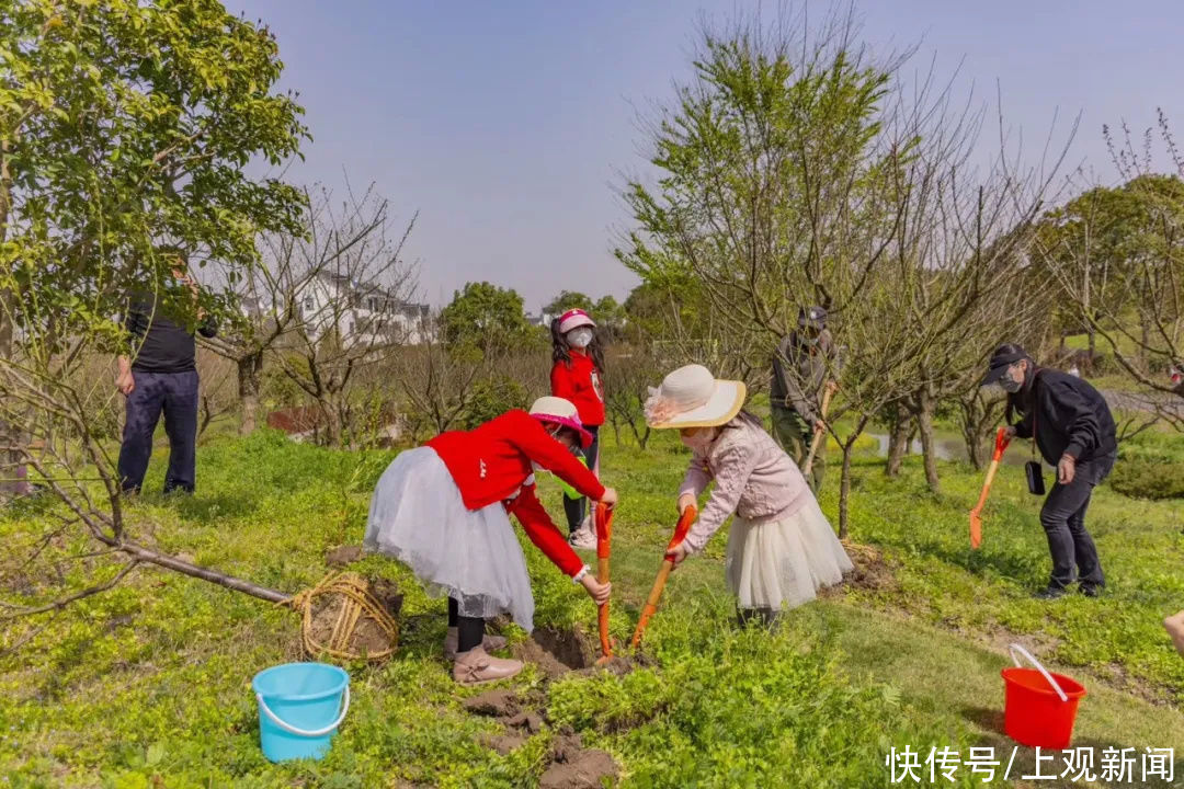 白云寺|美极了！在金山这里种下你的“春天”