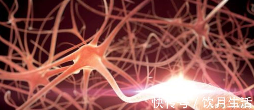 神经细胞|多数长寿老人，身上通常有4“懒”，若你能占上2个，那也不错