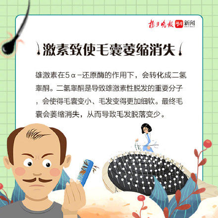 头顶|秃的重灾区从来都是头顶