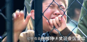 |搞笑GIF: 请原谅我不厚道的笑了 吃饭的时候最好不要看