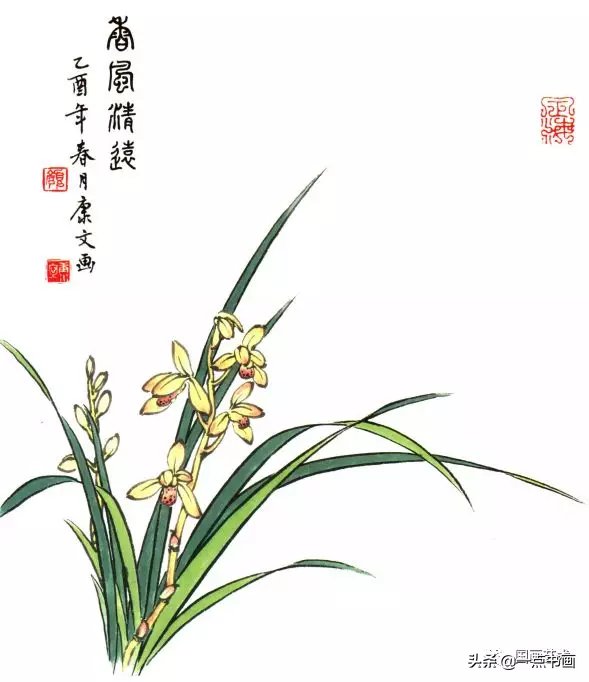 兰花&图文教程——兰花画法