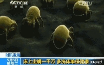 螨虫|90的人都在陪螨虫睡觉螨虫最怕3种东西，好好利用，螨虫跑光光