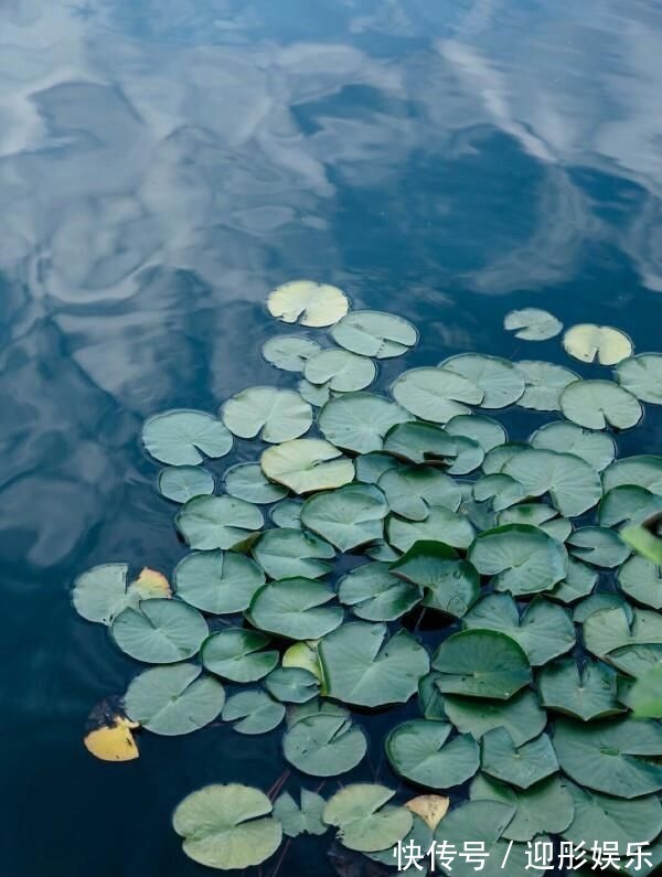 残月@柳永思念妻子写下一首词,全词语言优美情景交融,读来扣人心弦