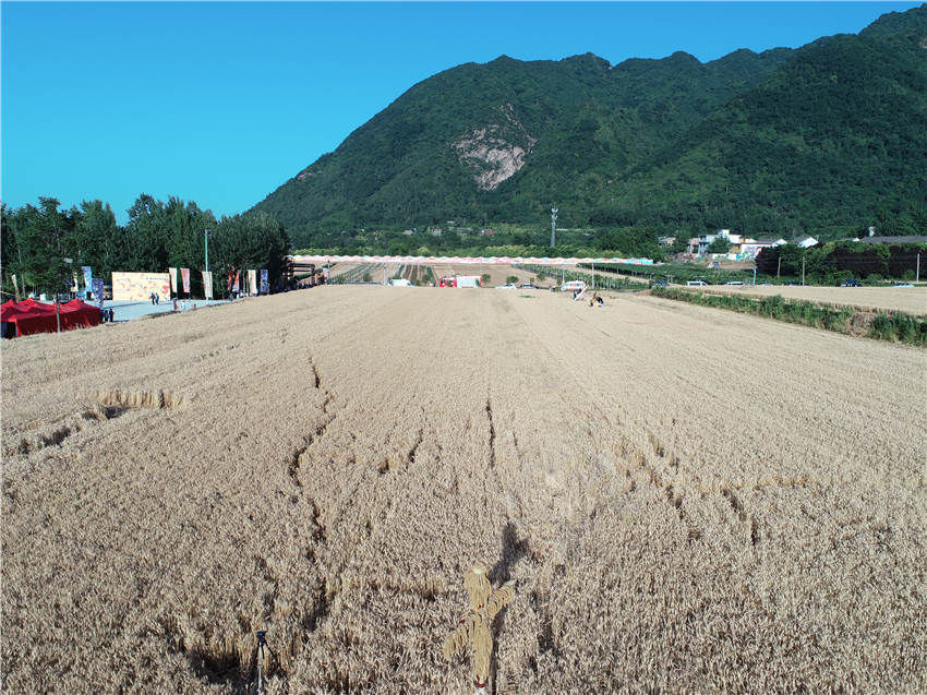 赵影超|昔日落后的小山村，如今成了全国闻名的旅游村