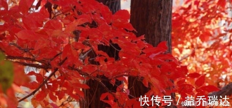 秋月&朱熹这首诗被严重低估了,第一句就令人惊艳,最后两句更是经典