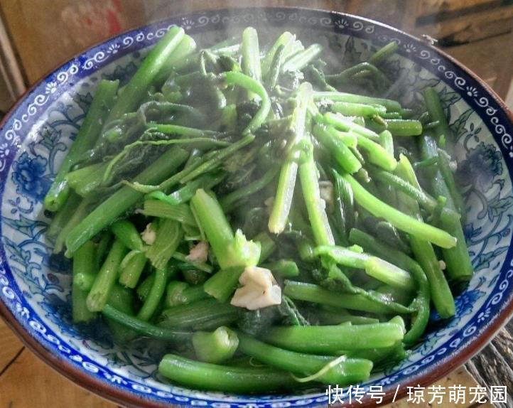 放过|遇到这菜别放过,2块钱一斤,菜嫩汁甜,炒2斤都不够吃