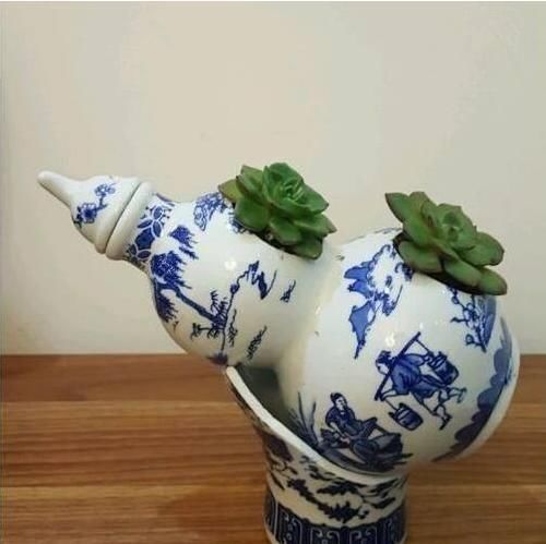  养花|家里的小瓶、小罐别扔了，拿来养花，真是太养眼了！