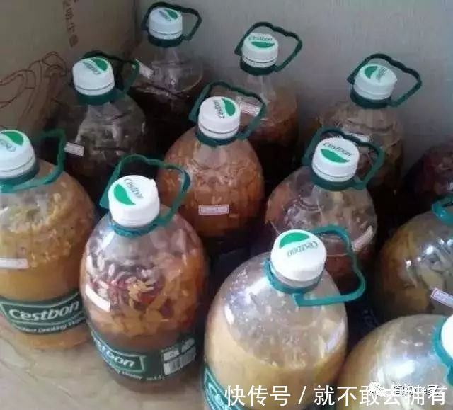 换盆的旧土别扔！加点“烂东西”，肥沃流油，养啥花旺啥花