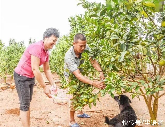 总额|励志榜样，付出终有回报，14岁奥运冠军全红婵夺冠奖金总额曝光