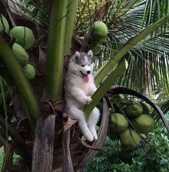 |爆笑段子:昨天晚上我和女朋友失眠了!