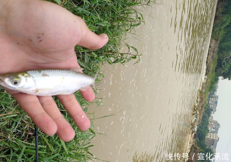 钓鱼|别人钓到鱼,你却钓不到,原因都在这里了,想知道的别错过