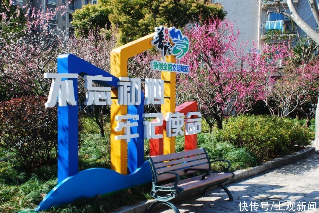 走进|梅开五福！普陀这里简直“美爆了”