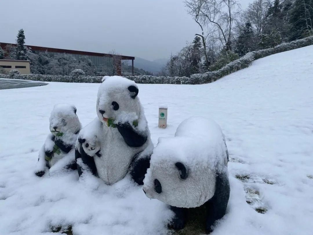 冬日雅安，一幅铺展天地间的冰雪画卷