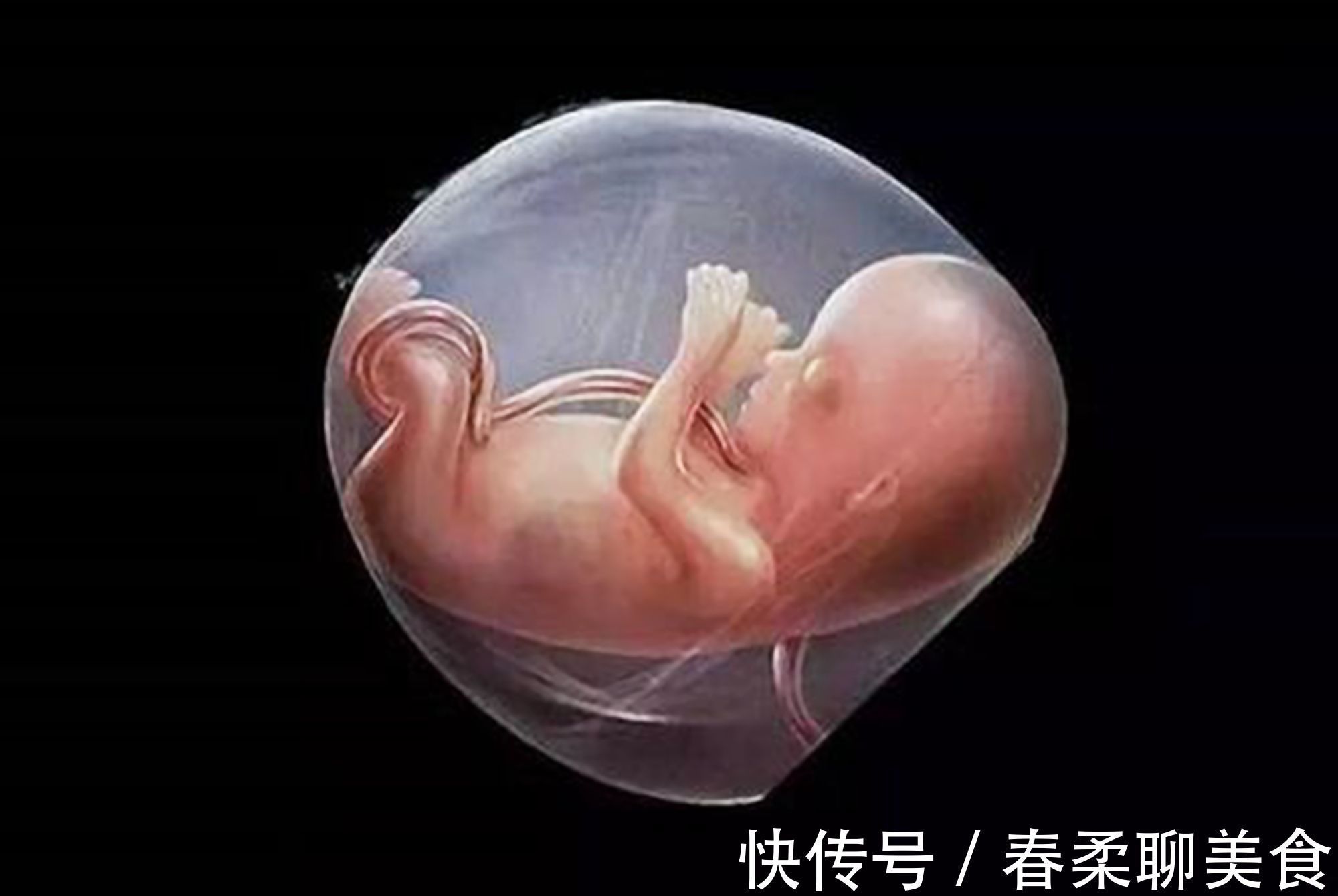 补充营养|宝妈要了解胎儿的“猛涨期”,如果补得早,肉可能会长在自己身上