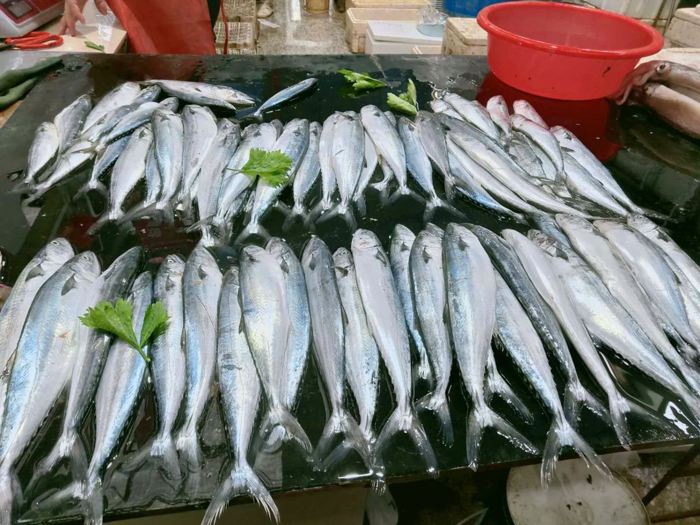 美味|冬天碰到这鱼,我从不还价,目前无法人工养殖,做酱香鱼最美味!